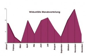 Sexualität - Wildunfälle 2